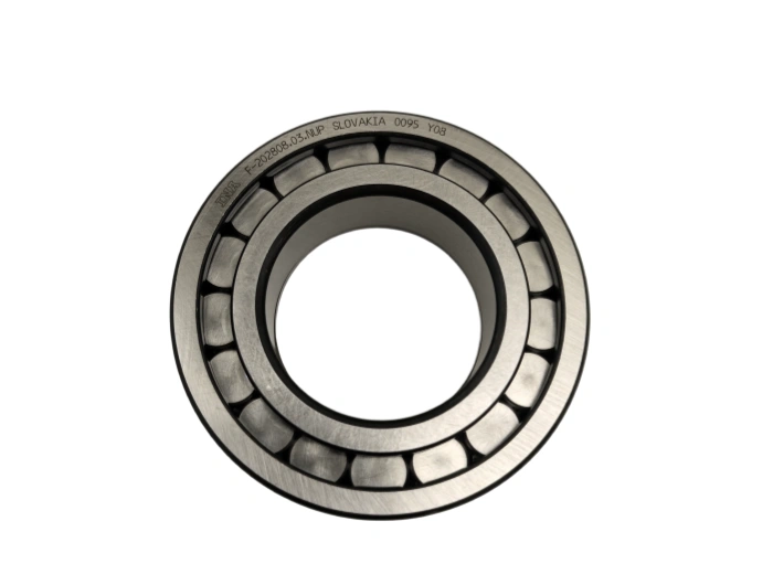 Cylindrical Roller Bearing  F-202808.03.NUP INA