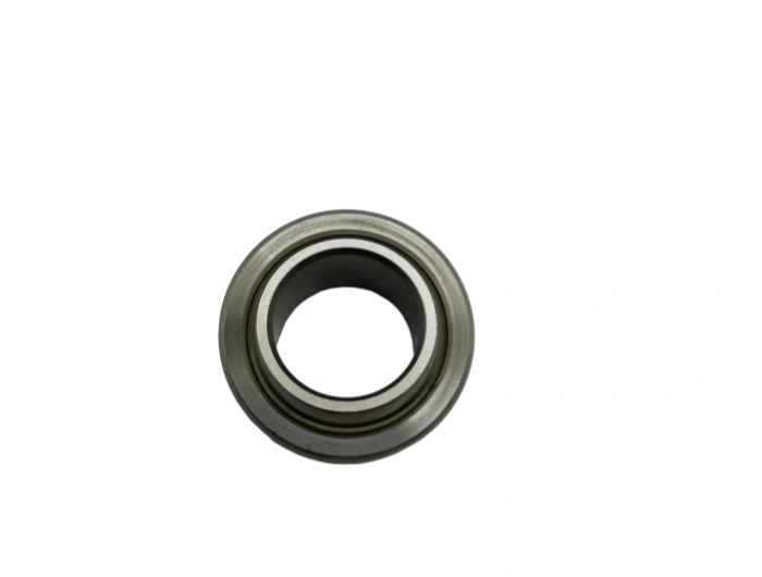 Spherical Roller Bearing GE17TXGR SKF